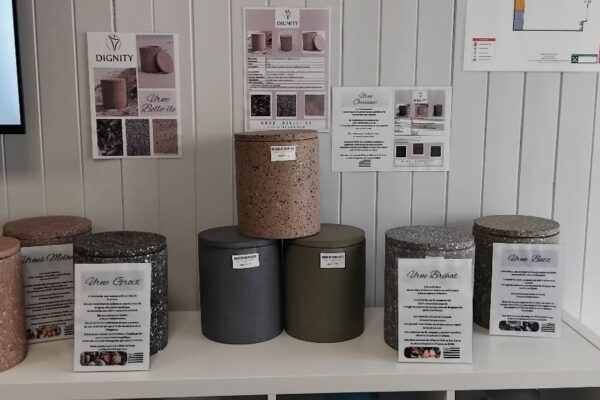 IMG_20250920_084837 IMG_20250920_084837